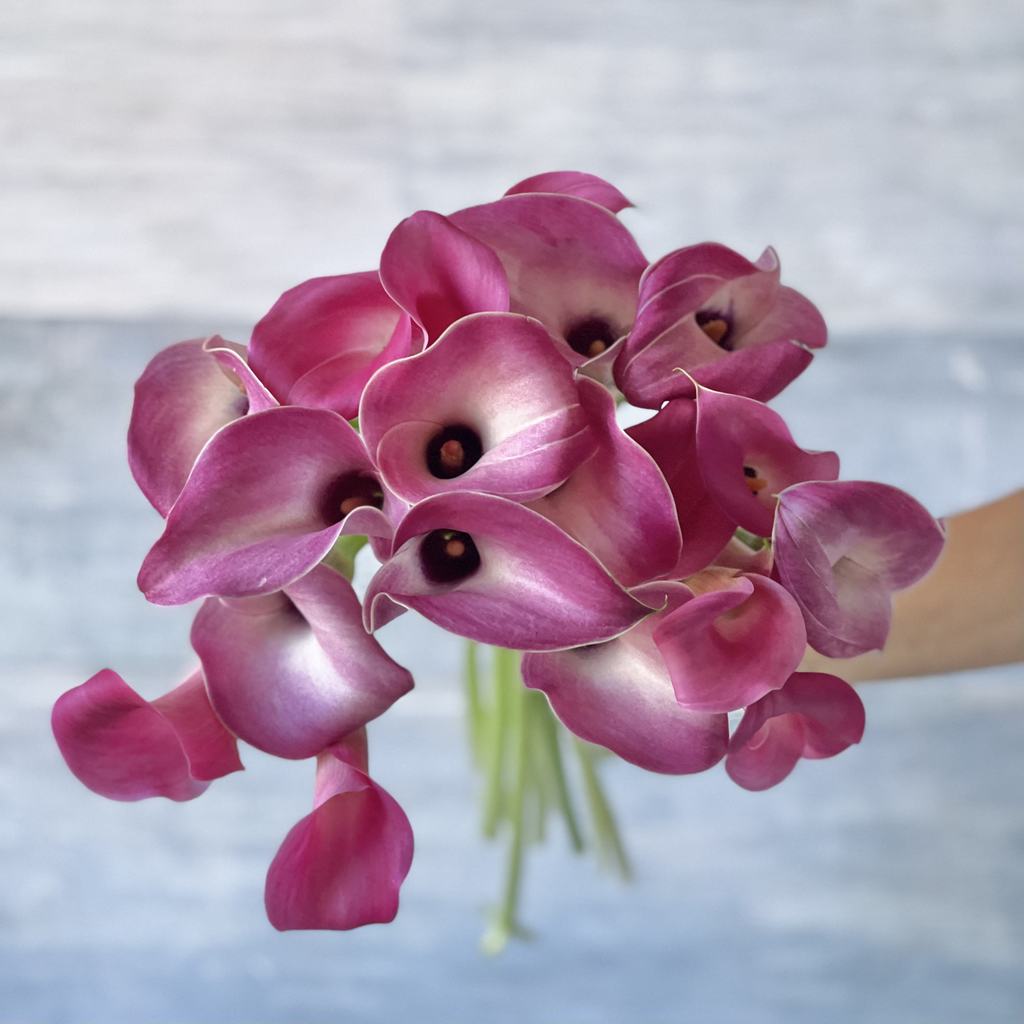 Ramo de calas rosadas