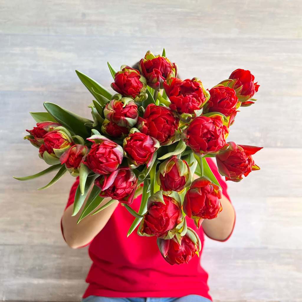 Ramo de tulipanes rojos