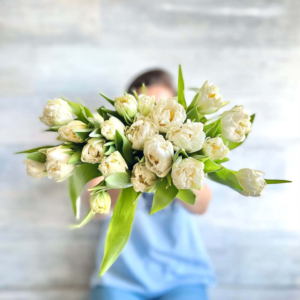 Tulipanes Blancos Dobles